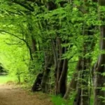 جاده اسالم به خلخال